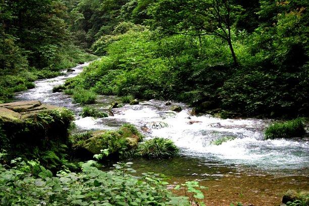 宝可梦探险寻宝